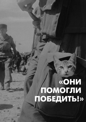 "Они помогли победить" Театрально-концертное агентство "Звёздный дождь"