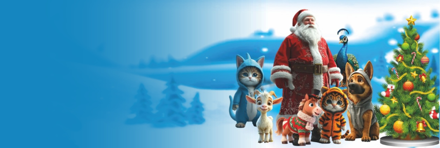 Шоу  "Цирк Деда Мороза" Театрально-концертное агентство "Звёздный дождь"