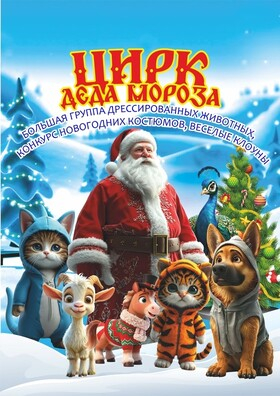 Шоу  "Цирк Деда Мороза" Театрально-концертное агентство "Звёздный дождь"